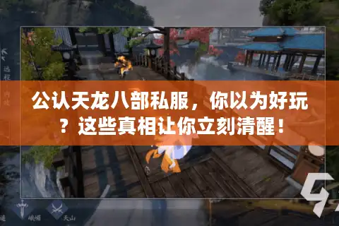 公认天龙八部私服，你以为好玩？这些真相让你立刻清醒！
