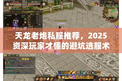天龙老炮私服推荐，2025资深玩家才懂的避坑选服术