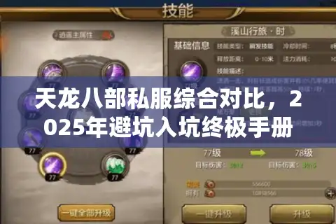 天龙八部私服综合对比，2025年避坑入坑终极手册