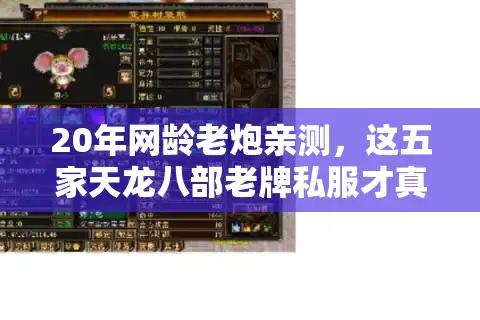 20年网龄老炮亲测，这五家天龙八部老牌私服才真经得住造