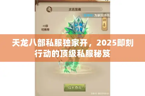 天龙八部私服独家开，2025即刻行动的顶级私服秘笈