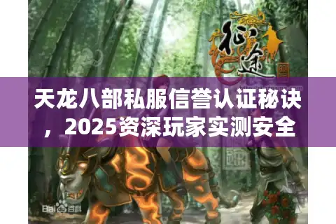天龙八部私服信誉认证秘诀，2025资深玩家实测安全清单