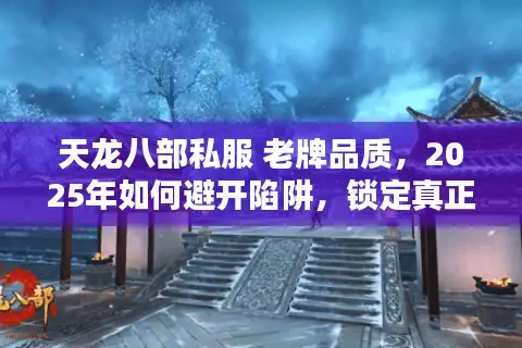 天龙八部私服 老牌品质，2025年如何避开陷阱，锁定真正稳定私服？