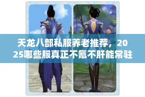 天龙八部私服养老推荐，2025哪些服真正不氪不肝能常驻？