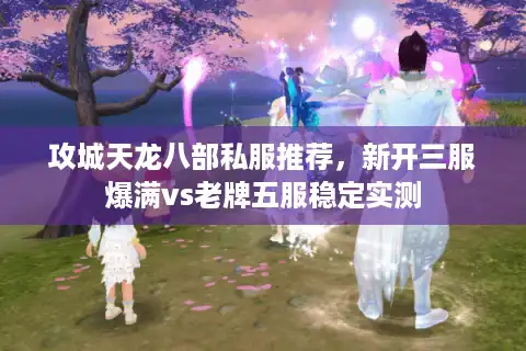攻城天龙八部私服推荐，新开三服爆满vs老牌五服稳定实测
