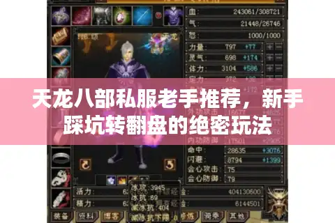 天龙八部私服老手推荐，新手踩坑转翻盘的绝密玩法