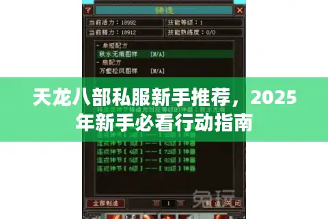天龙八部私服新手推荐，2025年新手必看行动指南