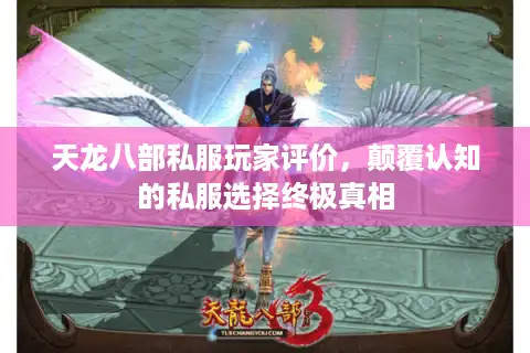 天龙八部私服玩家评价,颠覆认知的私服选择终极真相 天龙八部私服玩家评价,颠覆认知的私服选择终极真相