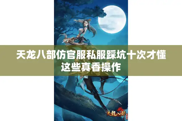 天龙八部仿官服私服踩坑十次才懂这些真香操作