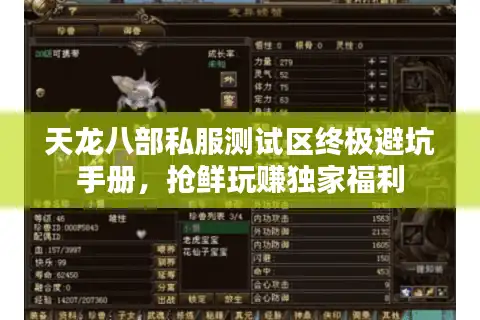 天龙八部私服测试区终极避坑手册，抢鲜玩赚独家福利