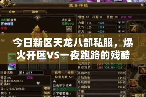 今日新区天龙八部私服，爆火开区VS一夜跑路的残酷真相揭密