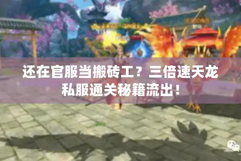 还在官服当搬砖工？三倍速天龙私服通关秘籍流出！