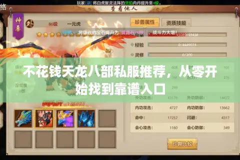 不花钱天龙八部私服推荐，从零开始找到靠谱入口
