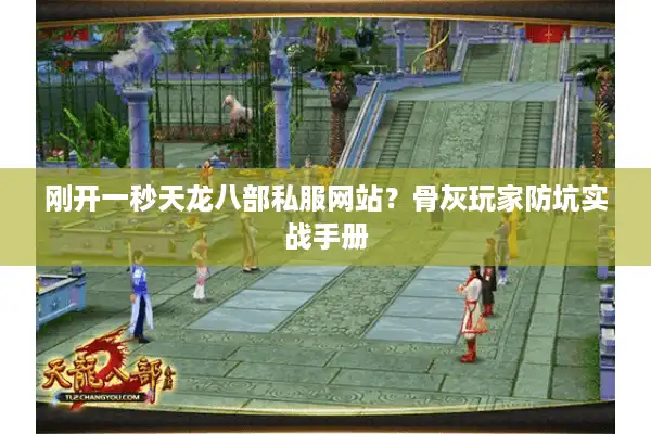 刚开一秒天龙八部私服网站？骨灰玩家防坑实战手册