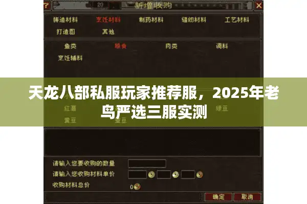 天龙八部私服玩家推荐服，2025年老鸟严选三服实测