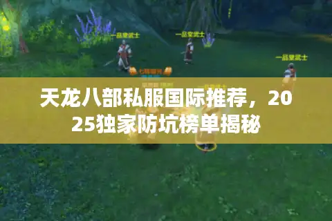 天龙八部私服国际推荐，2025独家防坑榜单揭秘