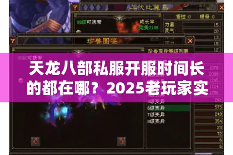 天龙八部私服开服时间长的都在哪？2025老玩家实测三大金刚服