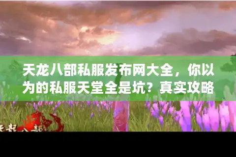 天龙八部私服发布网大全，你以为的私服天堂全是坑？真实攻略大揭秘
