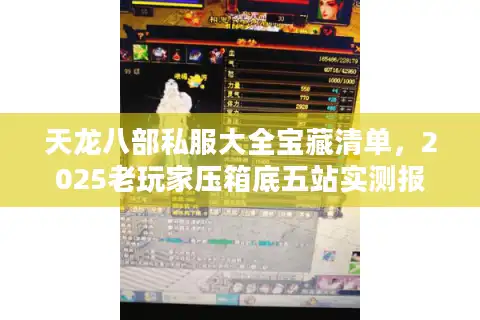 天龙八部私服大全宝藏清单，2025老玩家压箱底五站实测报告