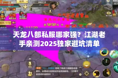 天龙八部私服哪家强？江湖老手亲测2025独家避坑清单
