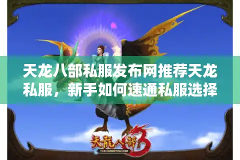 天龙八部私服发布网推荐天龙私服，新手如何速通私服选择迷宫？