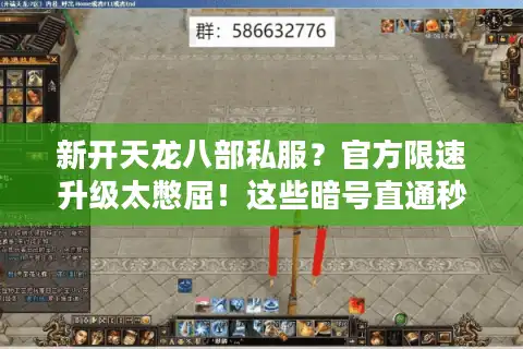 新开天龙八部私服？官方限速升级太憋屈！这些暗号直通秒升满级服