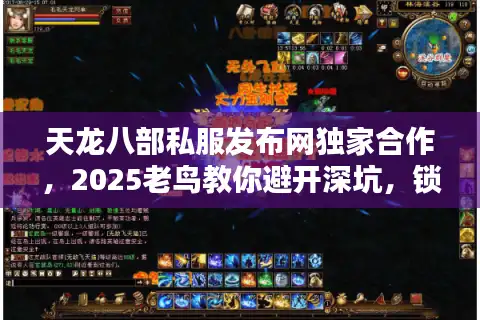 天龙八部私服发布网独家合作，2025老鸟教你避开深坑，锁定真福利！