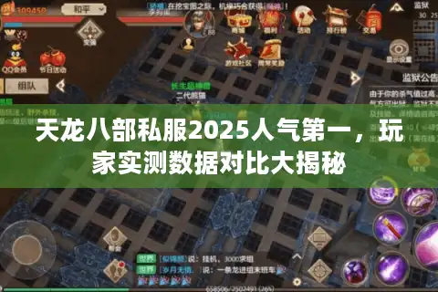 天龙八部私服2025人气第一，玩家实测数据对比大揭秘