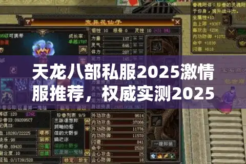 天龙八部私服2025激情服推荐，权威实测2025最新必玩激情服榜单