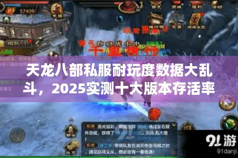 天龙八部私服耐玩度数据大乱斗,2025实测十大版本存活率榜单 天龙八部私服耐玩度数据大乱斗,2025实测十大版本存活率榜单