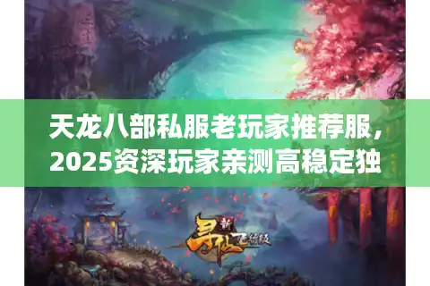 天龙八部私服老玩家推荐服，2025资深玩家亲测高稳定独家宝藏服