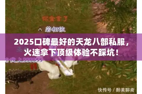 2025口碑最好的天龙八部私服，火速拿下顶级体验不踩坑！