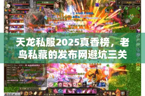 天龙私服2025真香榜，老鸟私藏的发布网避坑三关九验法