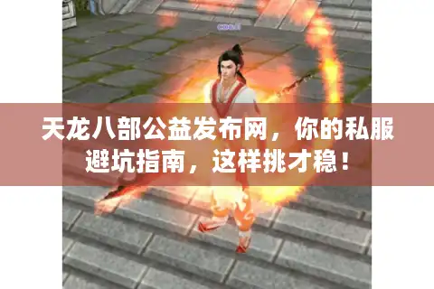 天龙八部公益发布网，你的私服避坑指南，这样挑才稳！