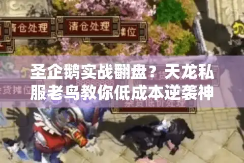圣企鹅实战翻盘？天龙私服老鸟教你低成本逆袭神宠