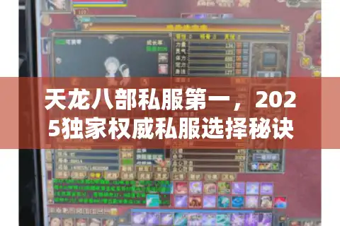 天龙八部私服第一，2025独家权威私服选择秘诀