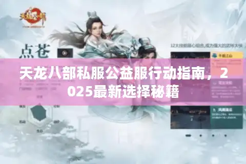 天龙八部私服公益服行动指南，2025最新选择秘籍