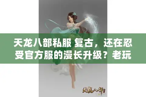 天龙八部私服 复古，还在忍受官方服的漫长升级？老玩家私藏清单大曝光！