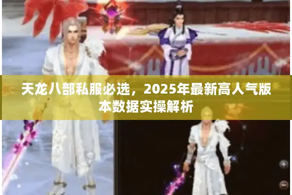 天龙八部私服必选，2025年最新高人气版本数据实操解析