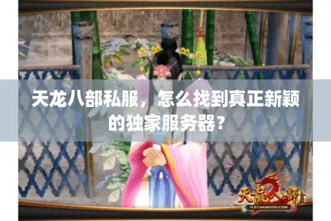天龙八部私服，怎么找到真正新颖的独家服务器？