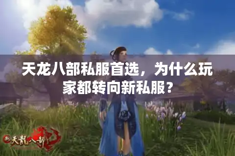 天龙八部私服首选，为什么玩家都转向新私服？