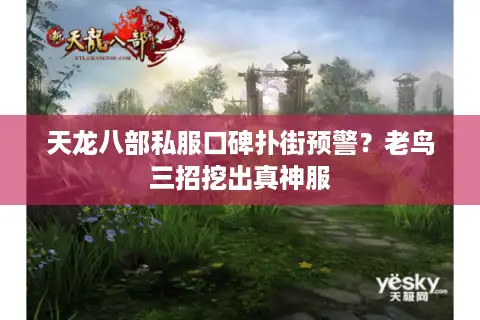 天龙八部私服口碑扑街预警？老鸟三招挖出真神服