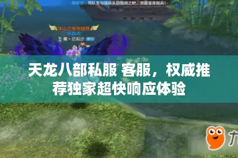 天龙八部私服 客服，权威推荐独家超快响应体验