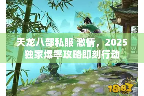 天龙八部私服 激情，2025独家爆率攻略即刻行动