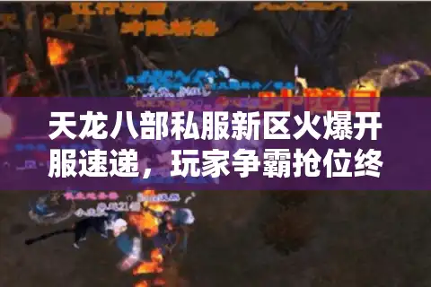 天龙八部私服新区火爆开服速递，玩家争霸抢位终极行动