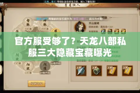 官方服受够了？天龙八部私服三大隐藏宝藏曝光