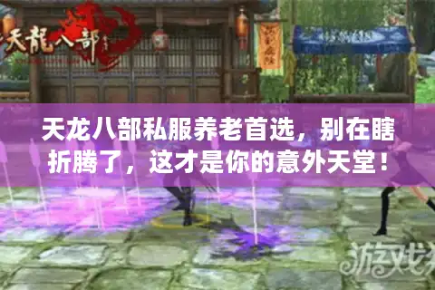 天龙八部私服养老首选，别在瞎折腾了，这才是你的意外天堂！