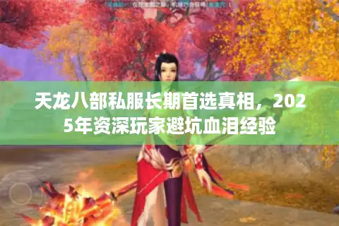 天龙八部私服长期首选真相，2025年资深玩家避坑血泪经验