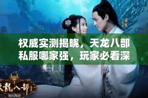 权威实测揭晓，天龙八部私服哪家强，玩家必看深度对比指南