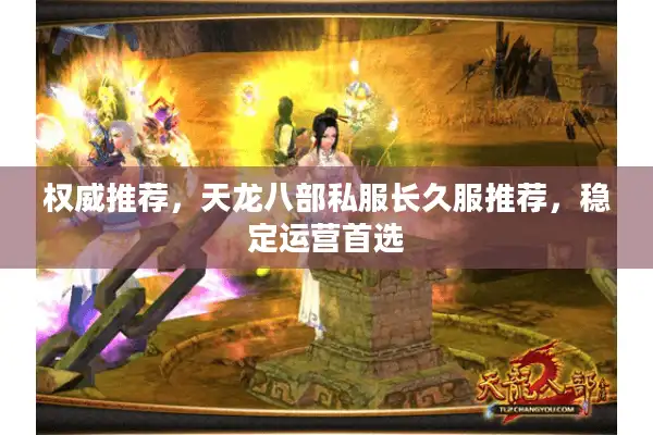 权威推荐，天龙八部私服长久服推荐，稳定运营首选